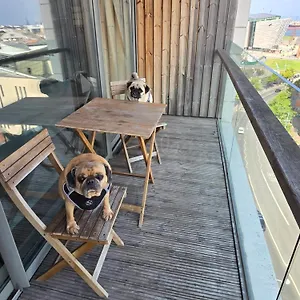 Benji & Milos Apartment